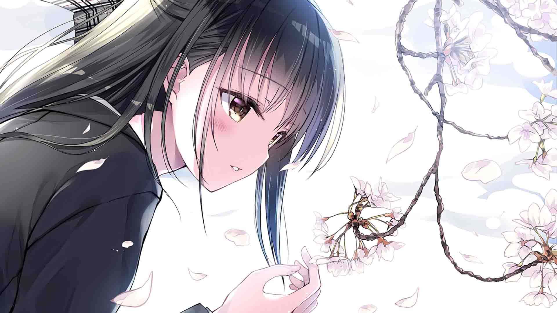 从零开始的blender教程